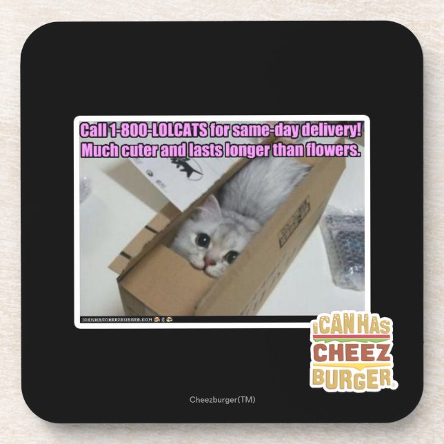 Anruf 1-800-LOLCATS Untersetzer (Vorderseite)