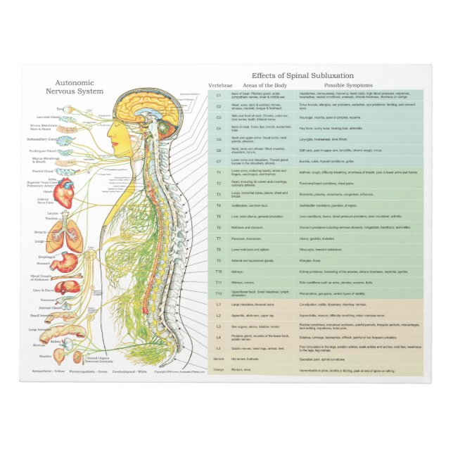 ANS Subluxation Effects Reißen von Pads Notizblock (Vorderseite)