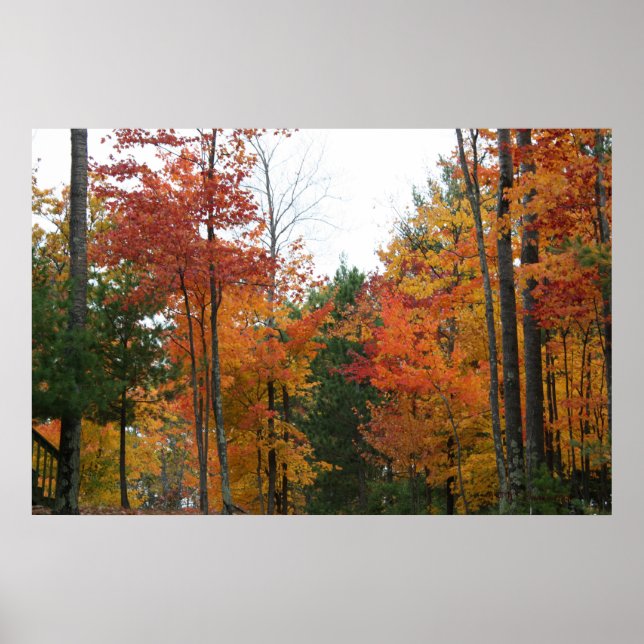 Ansammlung der Stehenden Poster (Vorne)