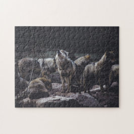 Ansammlung des Wolf-Packs