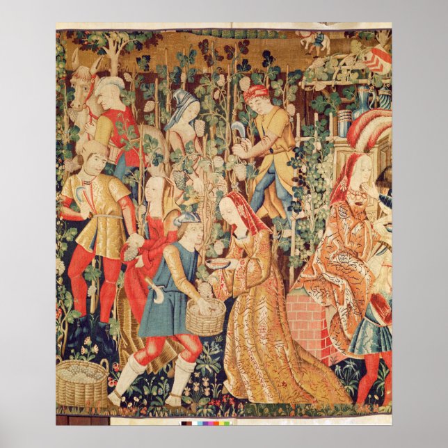 Ansammlung Trauben, Einzelheiten der Traubenernte Poster (Vorne)