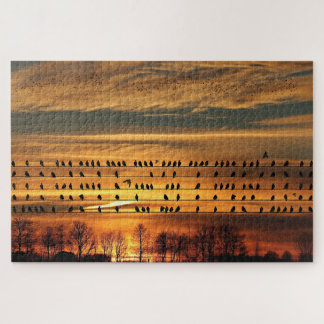 Ansammlung von Starlings