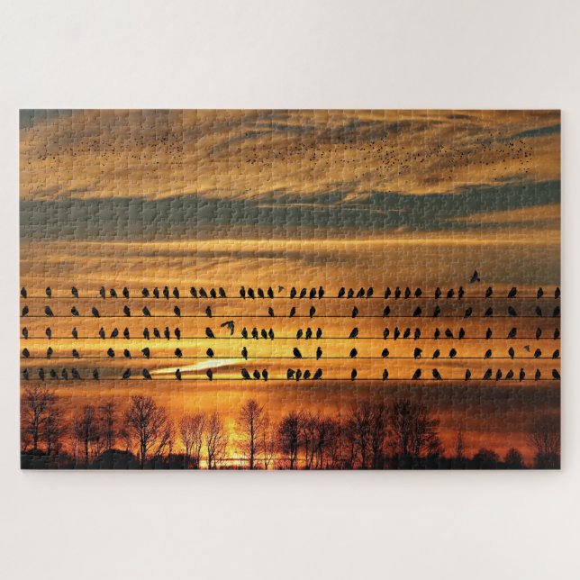 Ansammlung von Starlings (Horizontal)
