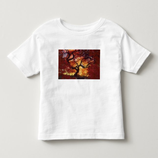 Anschluss: Darien, Japanischer Ahorn "Acer Kleinkind T-shirt (Vorderseite)
