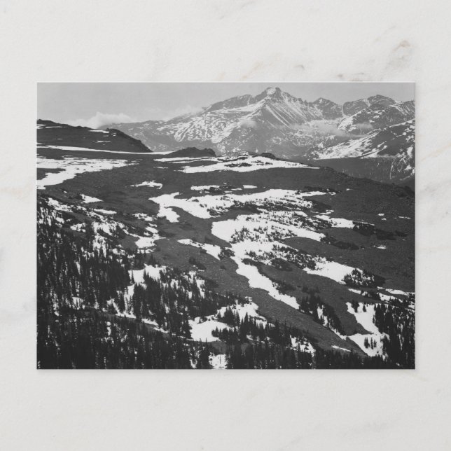 Ansel Adams - Long's Peak Rocky Mountain Postkarte (Vorderseite)