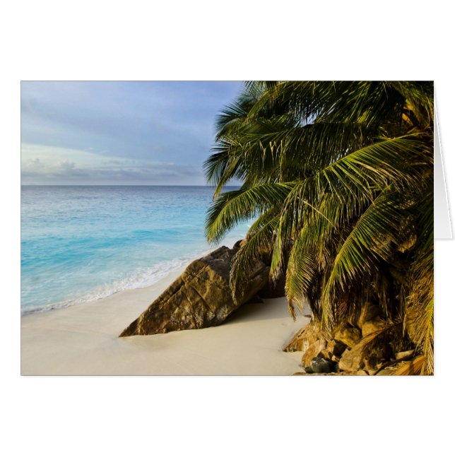 Ansi Victorin Beach (Vorderseite (Horizontal))