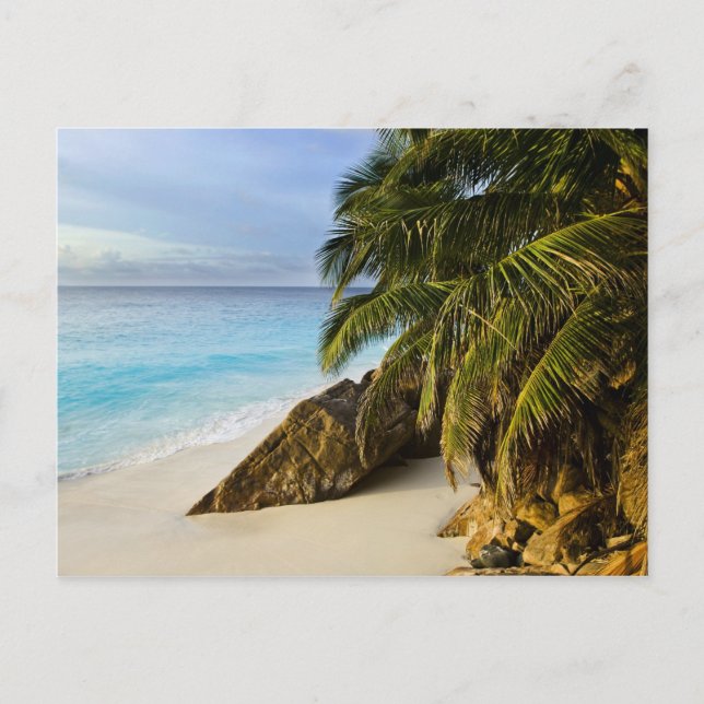 Ansi Victorin Beach Postkarte (Vorderseite)