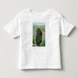Ansicht Aggassiz ColumnYosemite Nationalparks, CA Kleinkind T-shirt