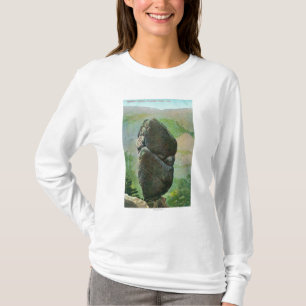 Ansicht Aggassiz ColumnYosemite Nationalparks, CA T-Shirt
