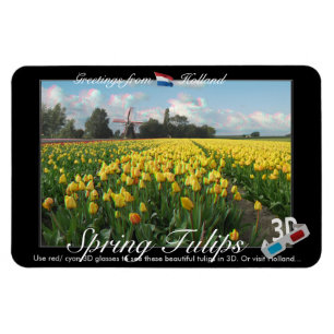 Ansicht-Anaglyph der Holland-Tulpe-Landschaft3d Magnet