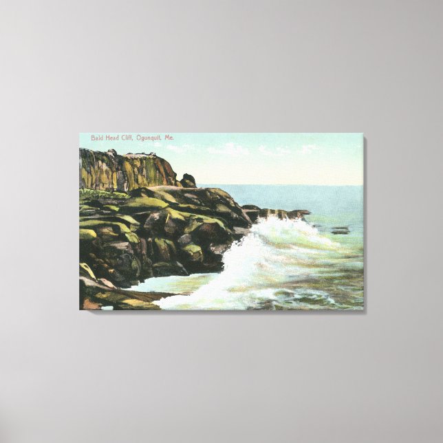 Ansicht der Bald Head Cliff Leinwanddruck (Vorderseite)