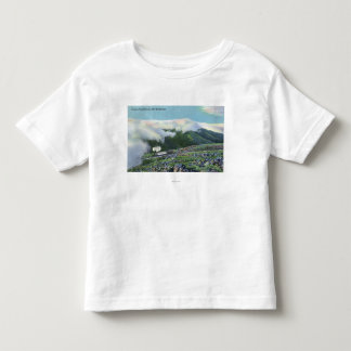 Ansicht der berühmten Zahn-Eisenbahn Kleinkind T-shirt