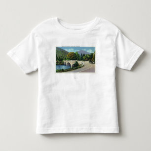 Ansicht der Brücke über dem Deerfield Fluss Kleinkind T-shirt