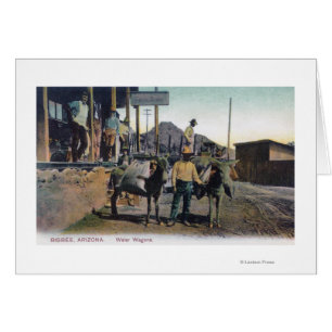 Ansicht der Esel, die WaterBisbee, AZ tragen