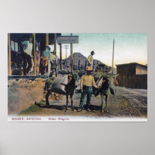 Ansicht der Esel, die WaterBisbee, AZ tragen Poster