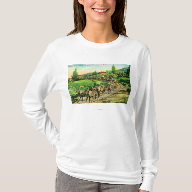 Ansicht der Fracht-Teams, die T-Shirt (Vorderseite)