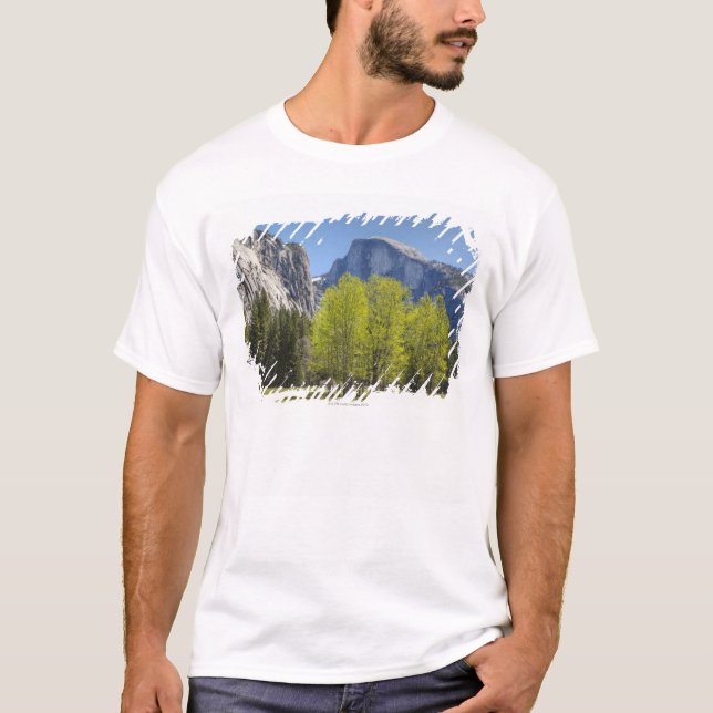 Ansicht der halben Haube T-Shirt (Vorderseite)