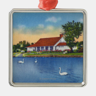 Ansicht der Hoopes Park-Schwäne auf dem See Silbernes Ornament