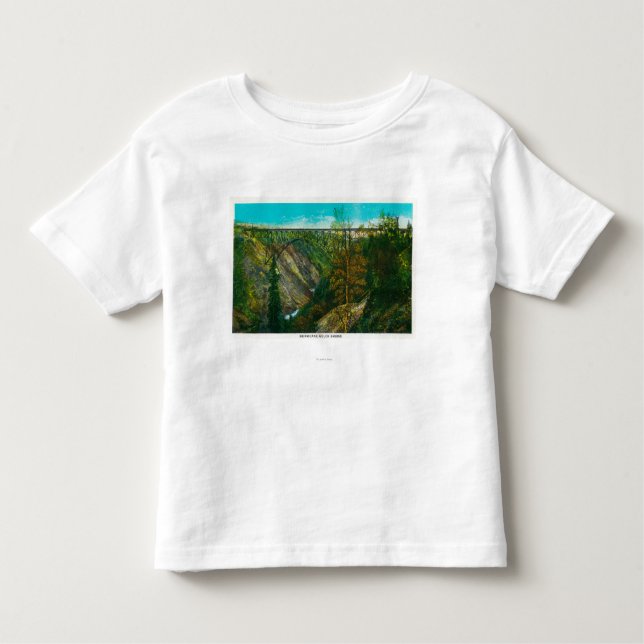 Ansicht der Hurrikangulch-Brücke, Alaska Kleinkind T-shirt (Vorderseite)