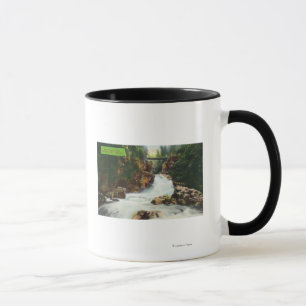 Ansicht der Lynn-Schlucht-Fälle Tasse