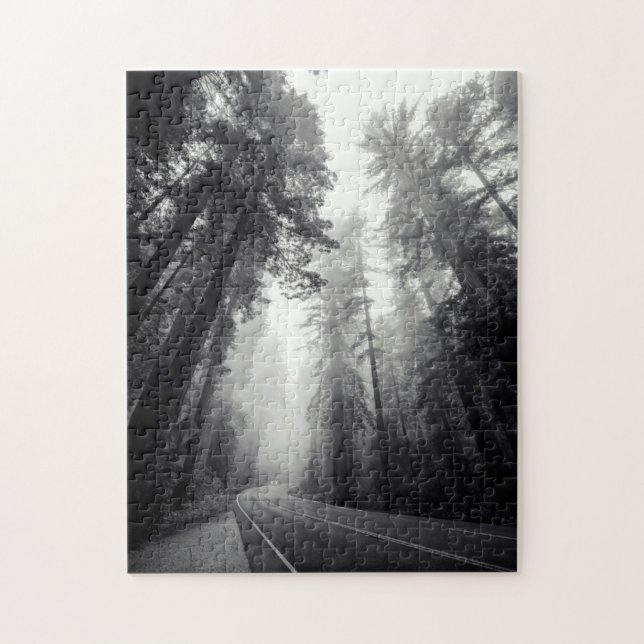 Ansicht der Mammutbaum-Bäume im Wald (Vertikal)