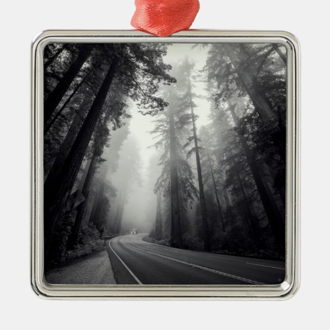 Ansicht der Mammutbaum-Bäume im Wald Ornament Aus Metall (Vorne)