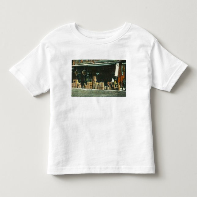 Ansicht der neuen chinesischen Immigranten auf Kleinkind T-shirt (Vorderseite)