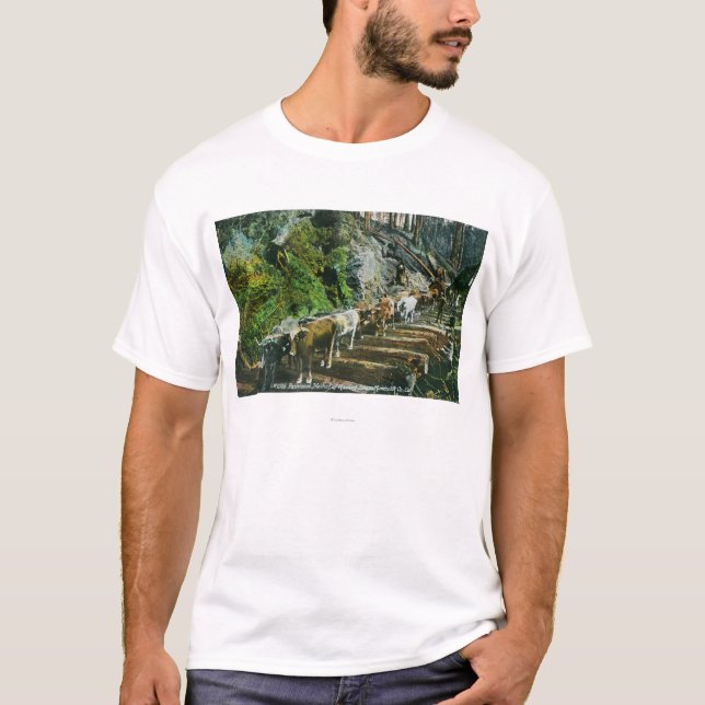 Ansicht der Ochse-Teams, die Klotz schleppen T-Shirt (Vorderseite)