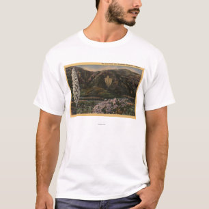 Ansicht der Pfeilspitze - San Bernardino Mts., CA T-Shirt