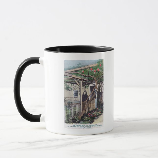 Ansicht der Sherman-Rose TreeMonterey, CA Tasse (Links)