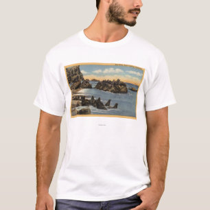 Ansicht der Siegel-Felsen mit Siegel T-Shirt
