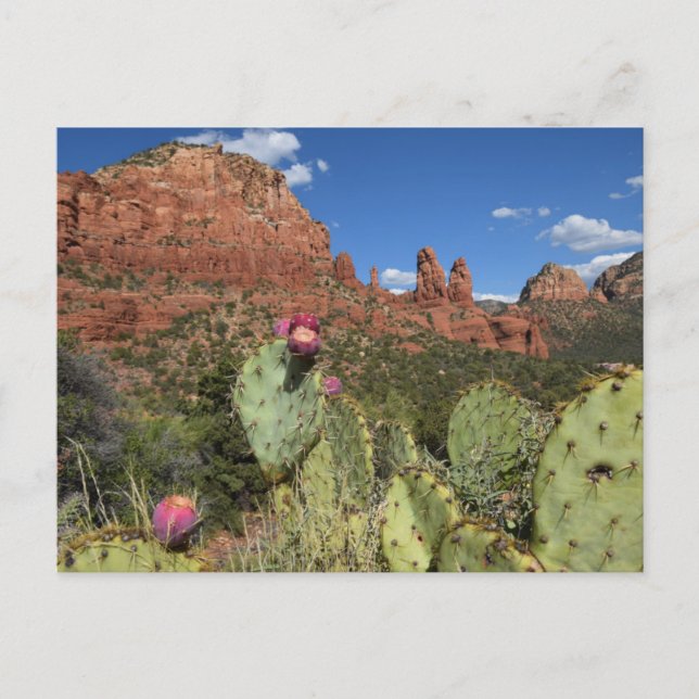 Ansicht der Twin Buttes | Sedona, Arizona Postkarte (Vorderseite)