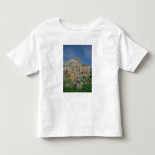 Ansicht der Westfassade, errichtetes c.862-930 Kleinkind T-shirt