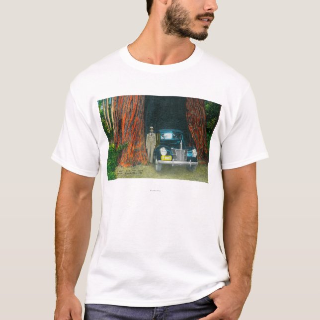 Ansicht des Auto TreeBig Becken-Staats-Parks, CA T-Shirt (Vorderseite)