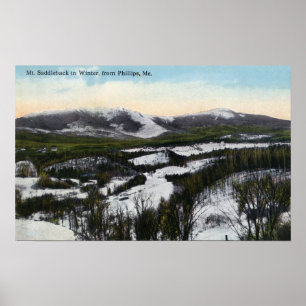 Ansicht des Berg-hohlrückigen Pferds im Winter Poster