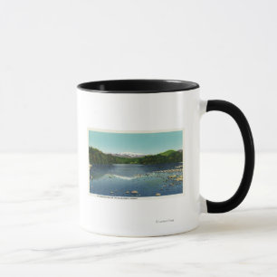 Ansicht des Bergs Washington und das Saco Tasse