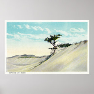 Ansicht des Dampfers Dorothy Bradford Poster