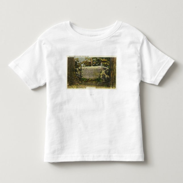 Ansicht des Grabs der britischen Soldaten Kleinkind T-shirt (Vorderseite)