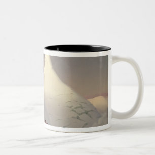 Ansicht des "Grossglockner" Berges Zweifarbige Tasse