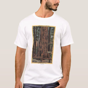 Ansicht "des Hals-Unterbrechers" am großen T-Shirt