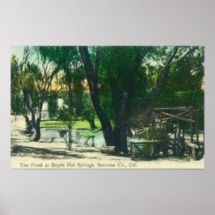 Ansicht des Hot Springs Pond Poster