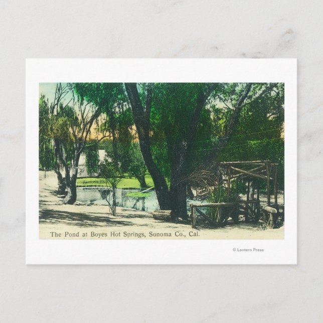Ansicht des Hot Springs Pond Postkarte (Vorderseite)