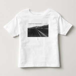 Ansicht des Hutchinson-Sellerie-Gartens Kleinkind T-shirt