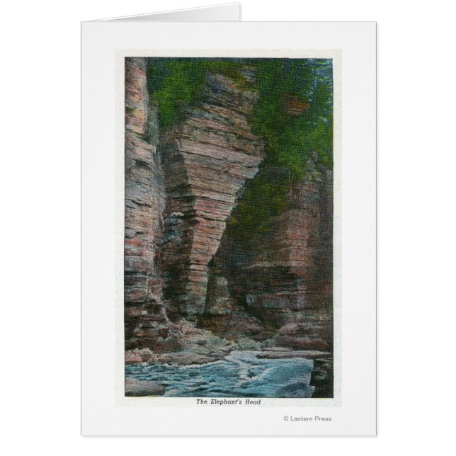 Ansicht des Kopfes des Elefanten (Vorne)