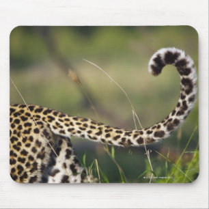 Ansicht des Leopard-Schwanzes (Panthera pardus), Mousepad