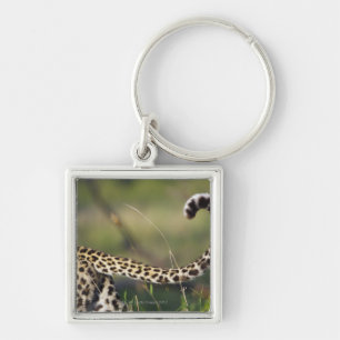 Ansicht des Leopard-Schwanzes (Panthera pardus), Schlüsselanhänger