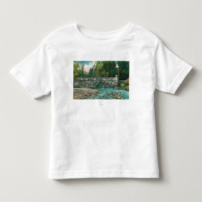 Ansicht des Napa Countys BridgeNapa, CA Kleinkind T-shirt (Vorderseite)