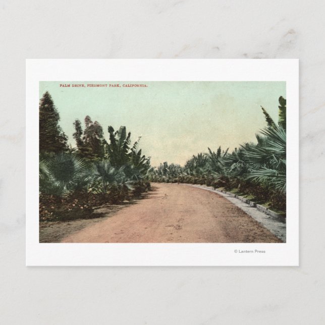 Ansicht des Palm-Laufwerks Postkarte (Vorderseite)