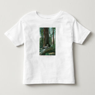 Ansicht des Pferdewagens unter Wawona Baum Kleinkind T-shirt