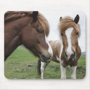 Ansicht des Pferds, Nahaufnahme Mousepad